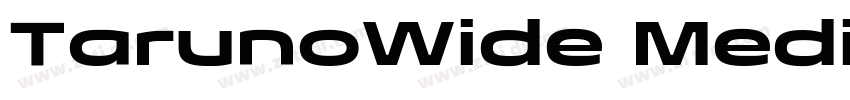 TarunoWide MediumIta字体转换